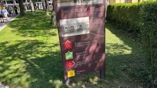 Slovinsko trip - hřebčín Lipica