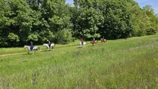 Bratislava Gabčíkovo Inline