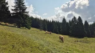 Hike v Bavorsku