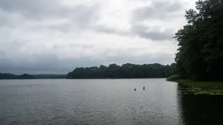 Trip Drawsko, strašidelný les a Henryho zátoka