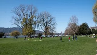 Ford trip, Čínská zahrada Curych