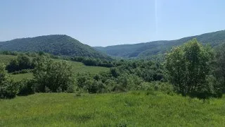 Parenzana III