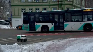 Fotr na tripu 9, Talinn roboti