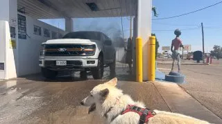 S pejskem na Route 66