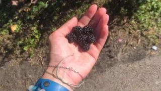 Hikerské dobrodružství v Británii 8