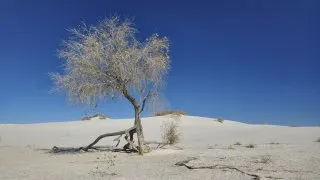 White Sands National Park