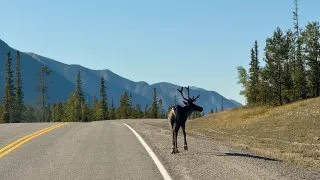 Fotr na tripu 10, Dawson City