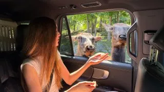 Fotr na tripu 10, Parc Omega