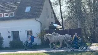 Fotr na tripu 9, Hiddensee