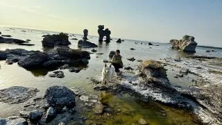 Fotr na tripu 9, Gotland a Stockholm