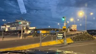 Fotr na tripu 10, velryby