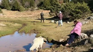 Fotr na tripu 11, Tirana