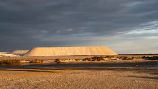 Ford trip, Camargue