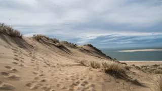 Ford trip, Duna du Pyla