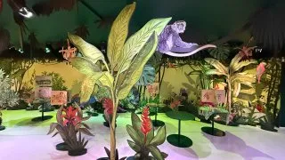 Fotr 11, Helsinky, čokoládovna