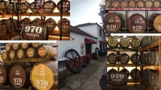 Madeira 5