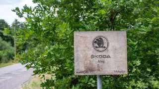 Škoda 130 let, Radostín a další RZ Bohemia Rally