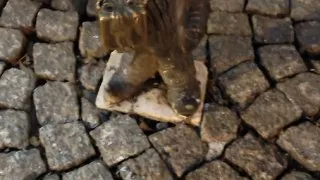 Vánoční trhy - Wroclaw