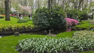 Keukenhof
