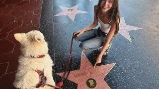 Fotr na tripu 12, Hollywood