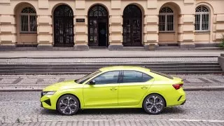 Škoda 130 let, Radostín a další RZ Bohemia Rally