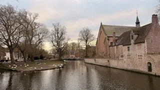 Fotr na tripu 11, Bruggy