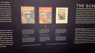 Fotr na tripu 11, Oslo, galerie