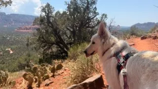 S pejskem na Route 66