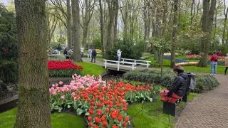 Keukenhof