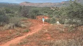 S pejskem na Route 66