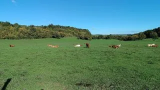 Balaton na gravelu