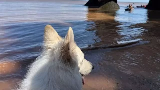 Itinerář Fotra na tripu 10, druhý díl: Ha! Ha!, magnety a barák přestěhovaný jako kostel v Mostě