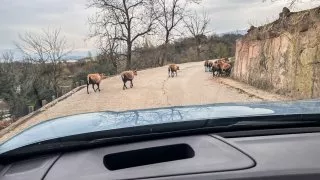 Ford trip, Parco Natura Viva