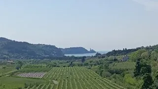 Parenzana III
