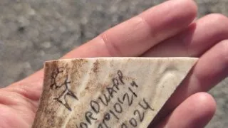 Přes Nordkapp na Lofoty