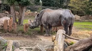 Ford trip, Parco Natura Viva
