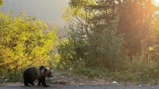 Rumunsko s obytkou a miminem