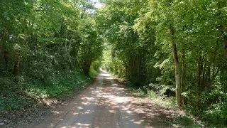 Parenzana II