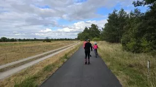 Flaeming inline