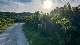 Dacia Bigster, trip Itálie, cesta