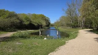 Trip Holandsko, Zeeland, kolo