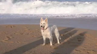 Pepa chtěl klidný den u moře, místo toho měl spíš pocit, jako by se objevil v románu George Orwella