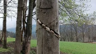 Česko, Podkrkonoší