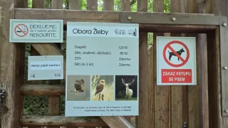 Žleby dravci