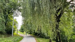 Trip Muránska planina, Jelšava a Železník