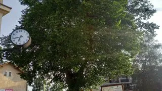 Jindřichův Hradec, Česko