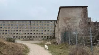 Fotr na tripu 9, Rujána
