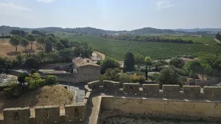Carcassonne