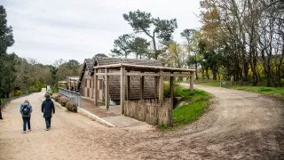 Ford trip, Duna du Pyla