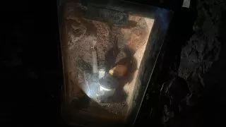 Dacia Bigster, trip Itálie, Porto Flavia